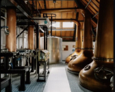 thermo gallery image